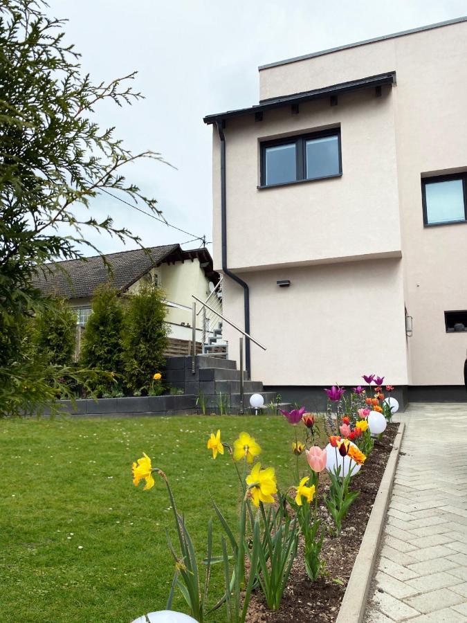 Sonnenlay Lounge - Studio & Ferienhaus Brauneberg Exteriör bild
